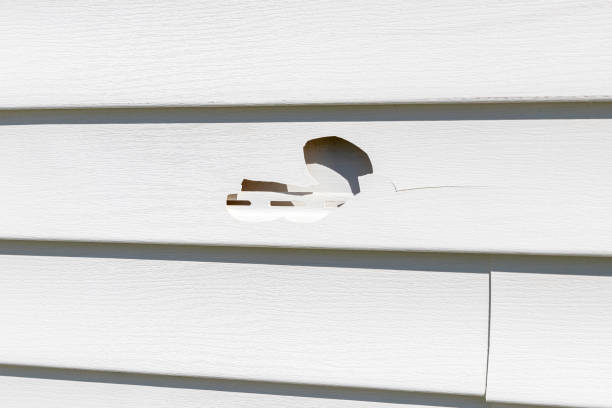 Best Shed Removal  in USA